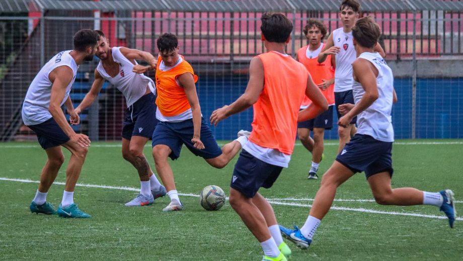 Sorianese Grillo Coracci